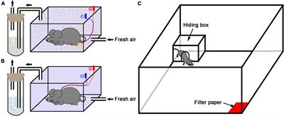 Neuropeptide S Attenuates the Alarm Pheromone-Evoked Defensive and Risk Assessment Behaviors Through Activation of Cognate Receptor-Expressing Neurons in the Posterior Medial Amygdala